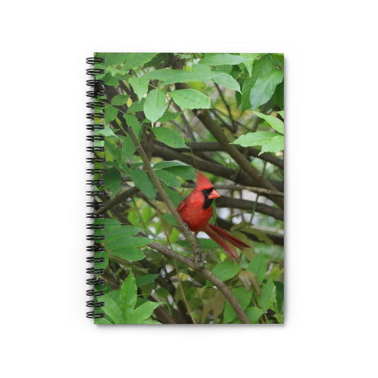 NN Spiral Notebook - Ruled Line Cardinal Fantail (W)