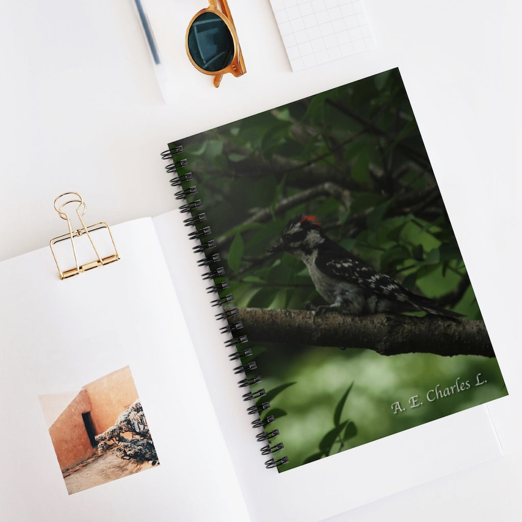 Spiral Notebook - Ruled Line May Be A Hairy Woodpecker