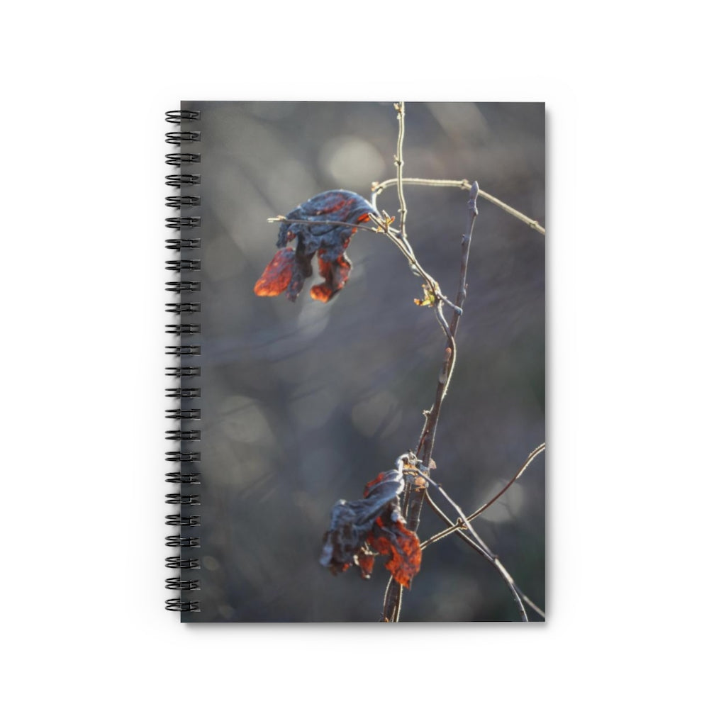 NN Spiral Notebook - Ruled Line Two Pretty Fall Leaves