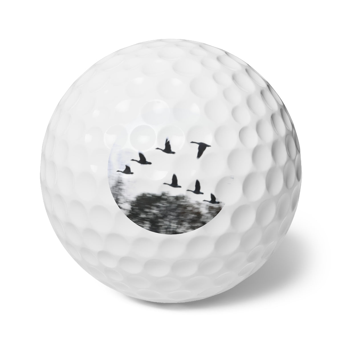 NN Golf Balls, 6pcs Flying Flock