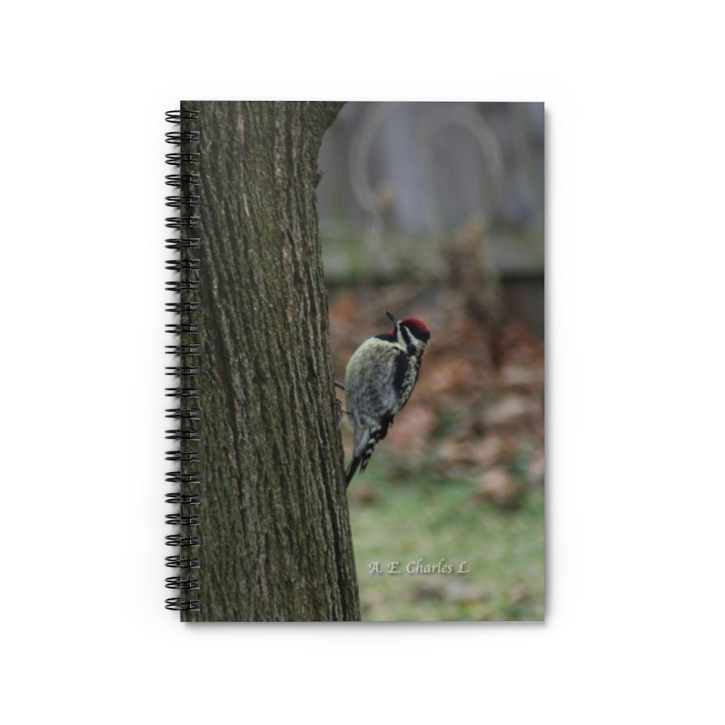 Spiral Notebook - Ruled Line May Be Yellow-Bellied Sapsucker