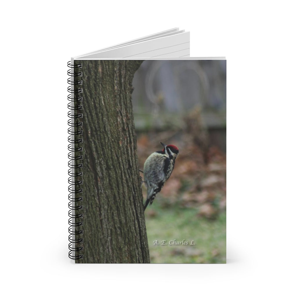 Spiral Notebook - Ruled Line May Be Yellow-Bellied Sapsucker