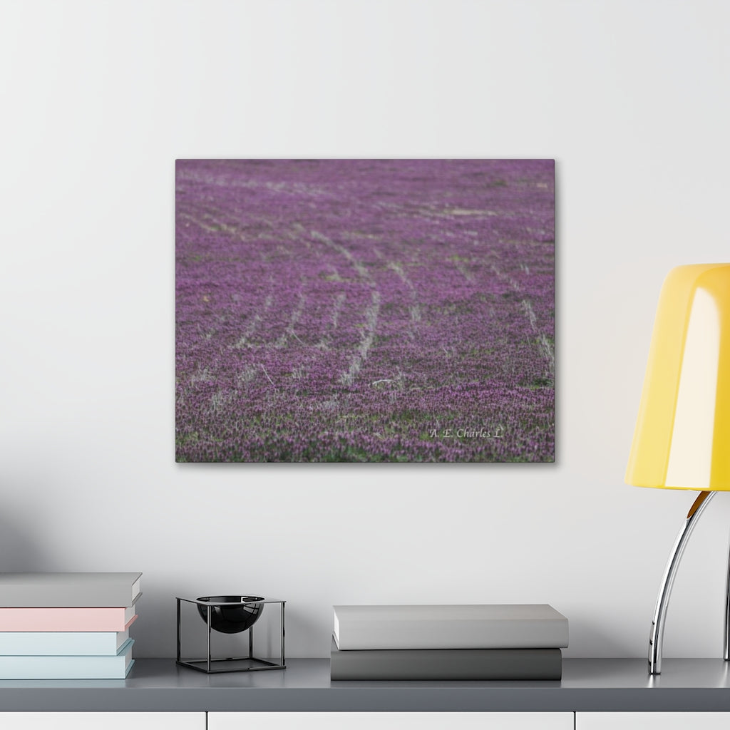 Canvas Gallery Wraps Purple Flowers Tracks Field