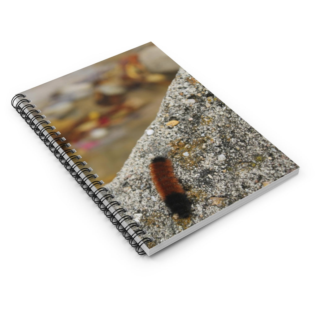 NN Spiral Notebook - Ruled Line Caterpillar On A Rock