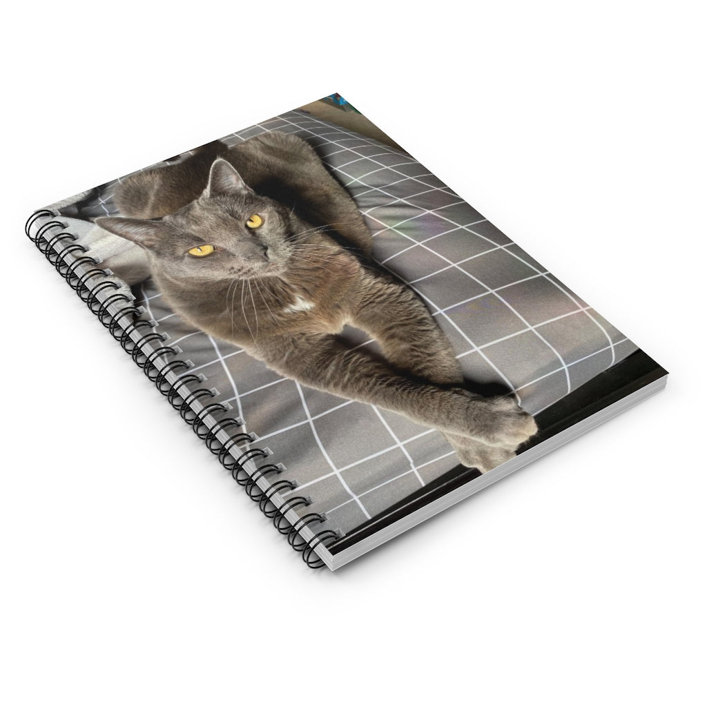 NN Spiral Notebook - Ruled Line Grey Resting Cat (B)