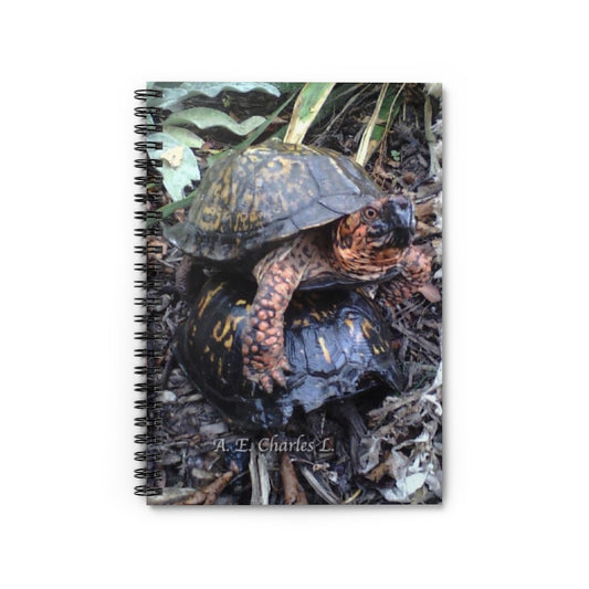 Spiral Notebook - Ruled Line Turtle Back Ride