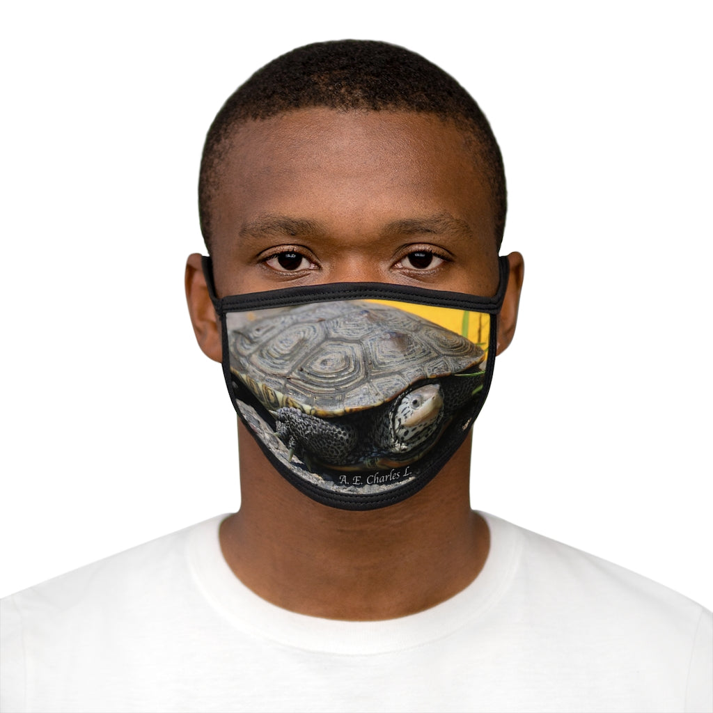 Mixed-Fabric Face Mask NJ Turtle Crossing