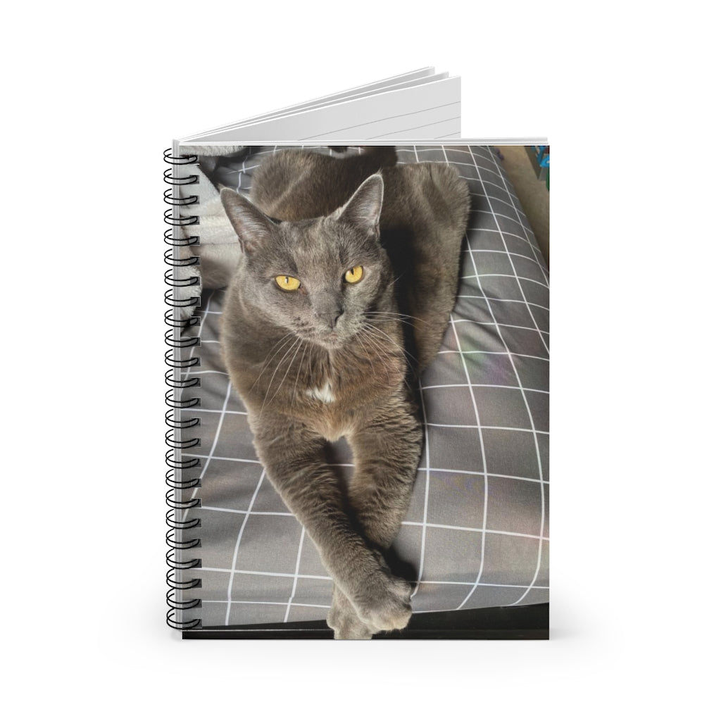 NN Spiral Notebook - Ruled Line Grey Resting Cat (B)