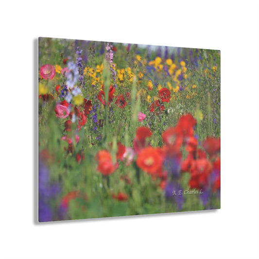 Acrylic Prints Wildflowers
