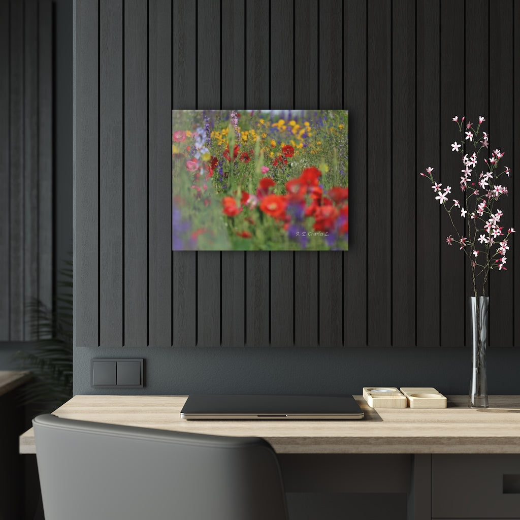 Acrylic Prints Wildflowers