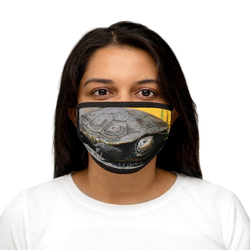 Mixed-Fabric Face Mask NJ Turtle Crossing