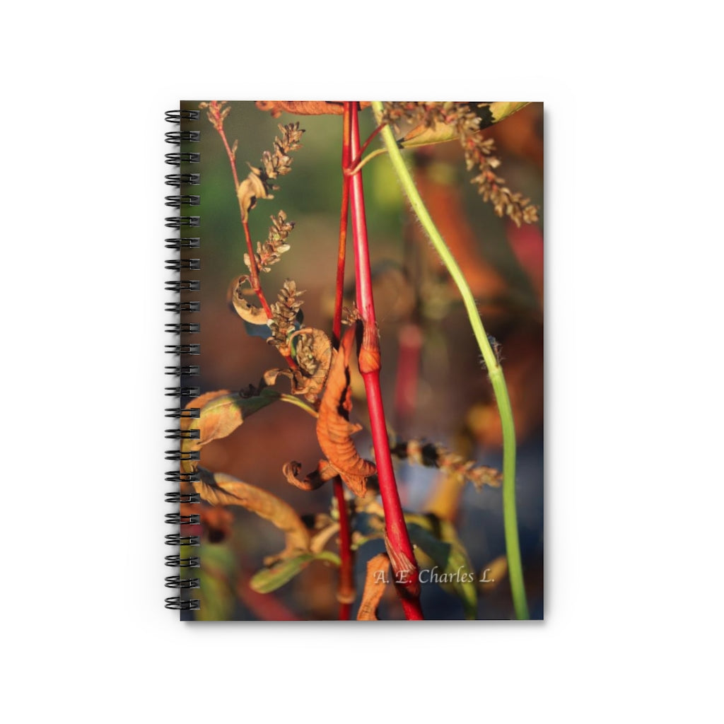 Spiral Notebook - Ruled Line Colorful Stems & Leaves