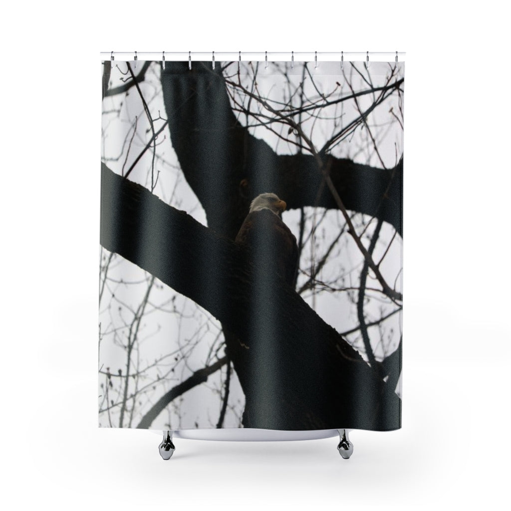 NN Shower Curtains Bald Eagle (CD)