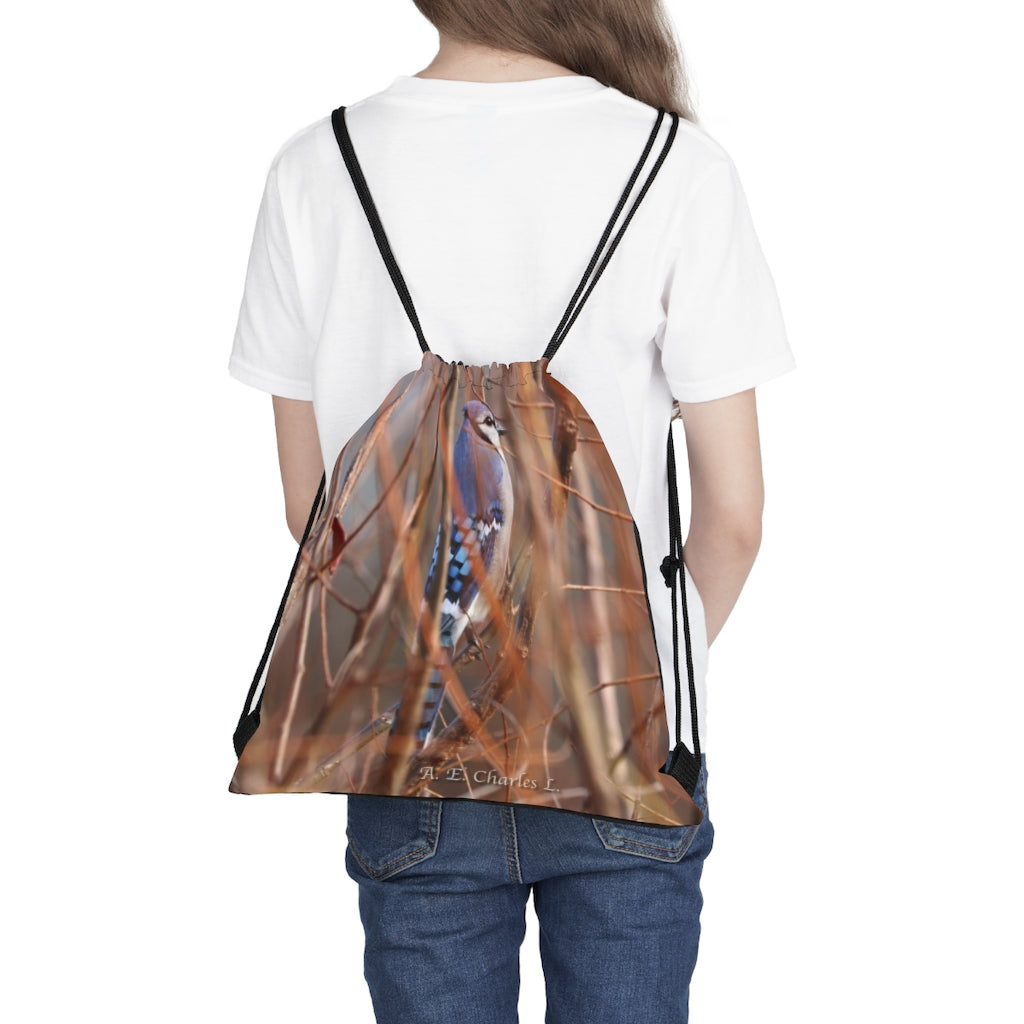 Outdoor Drawstring Bag Blue Jay