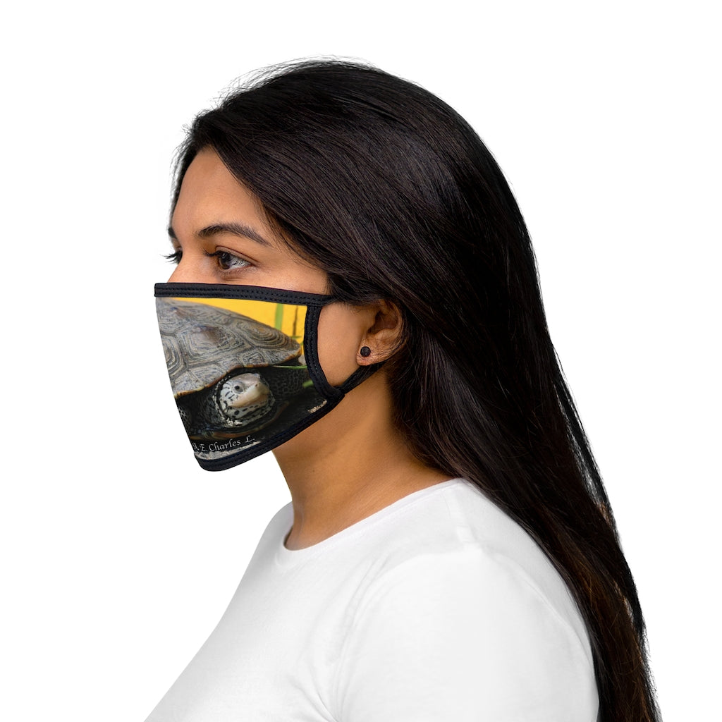 Mixed-Fabric Face Mask NJ Turtle Crossing